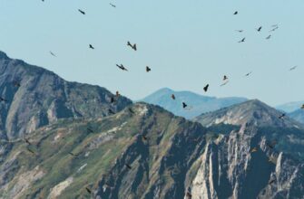 В Сочи вновь открыт турмаршрут “Два водопада” Марш...